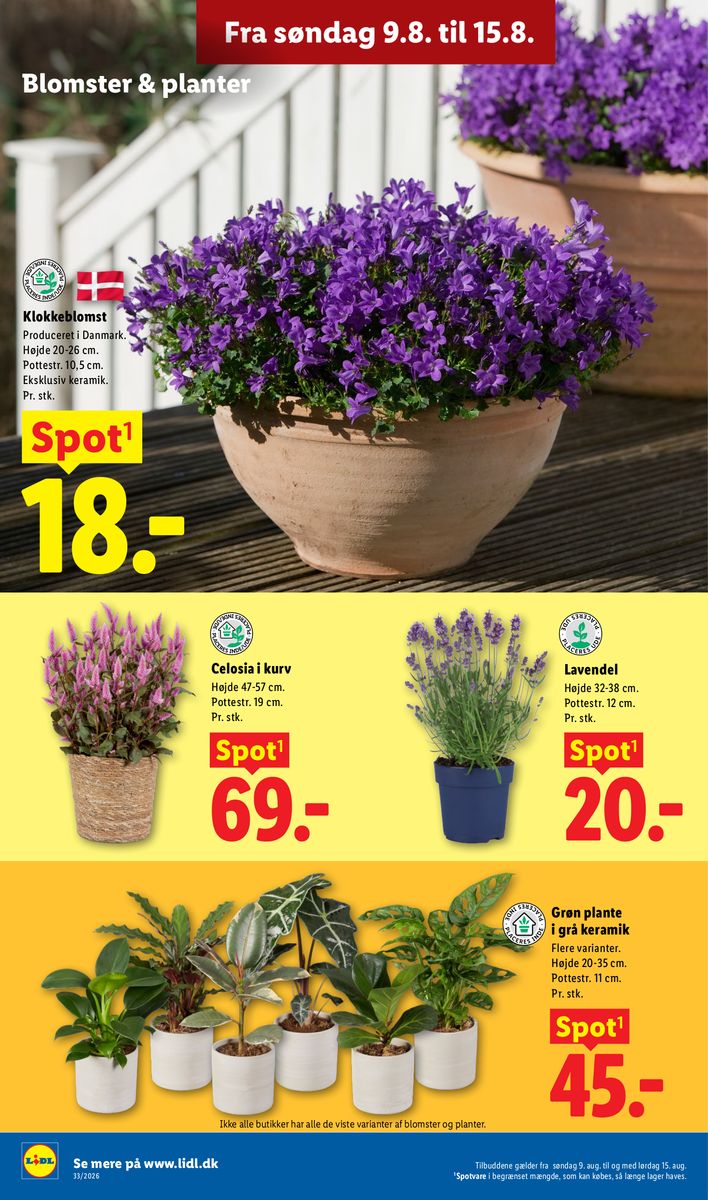 Lidl tilbudsavis, side 35