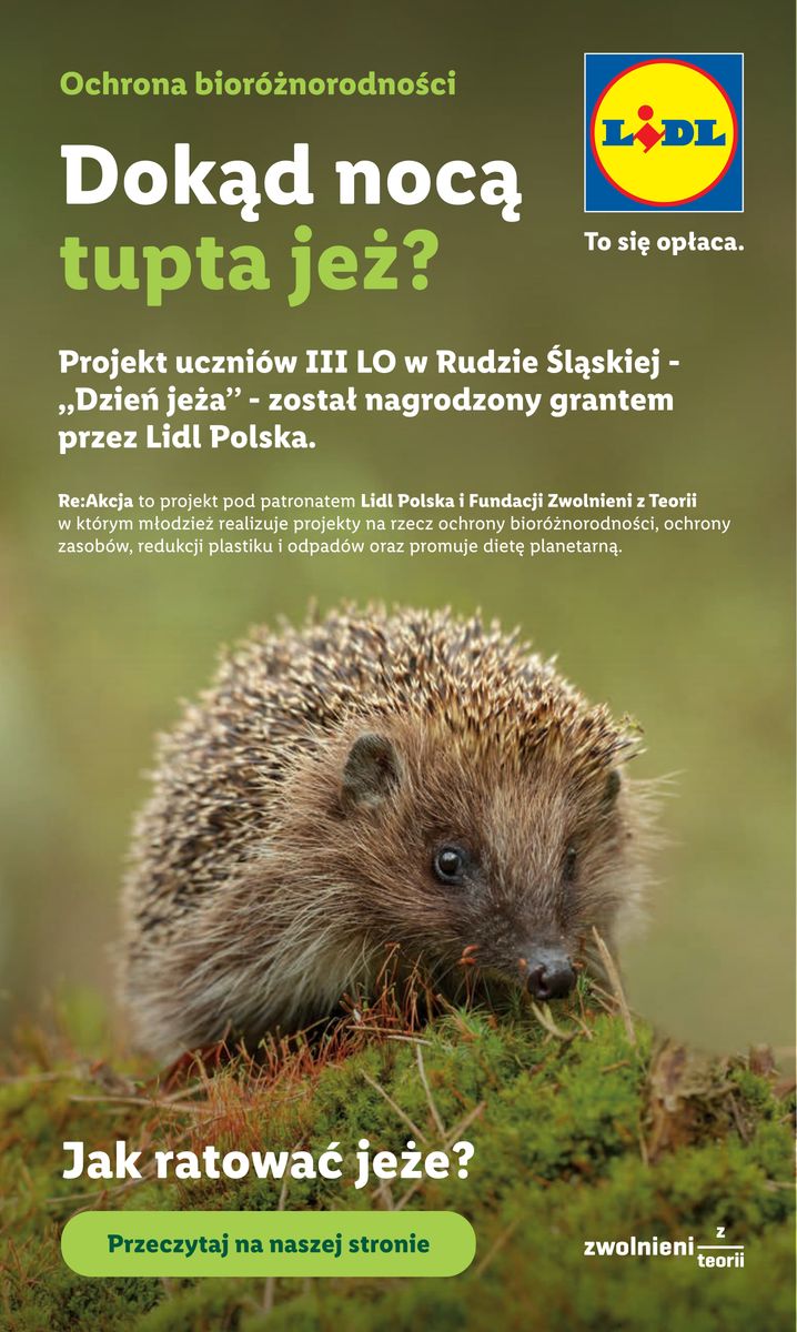 Strona https://imgproxy.leaflets.schwarz/9IZ1sNljdVQVwSoDtIN1hLbETrQmIt40R20lZWVb6rQ/rs:fit:1200:1200:1/g:no/czM6Ly9sZWFmbGV0cy9pbWFnZXMvMDE5ZTk2NWYtYmZkNi03OWY4LTk1MjgtNmUyNjg3NjdlMGZhL3BhZ2UtNTZfZTY0YjI3NTdhZTM3MGRmZGZjZTQyOTdkOWMyMDQ5OWUucG5n.jpg