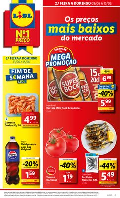 Leaflet