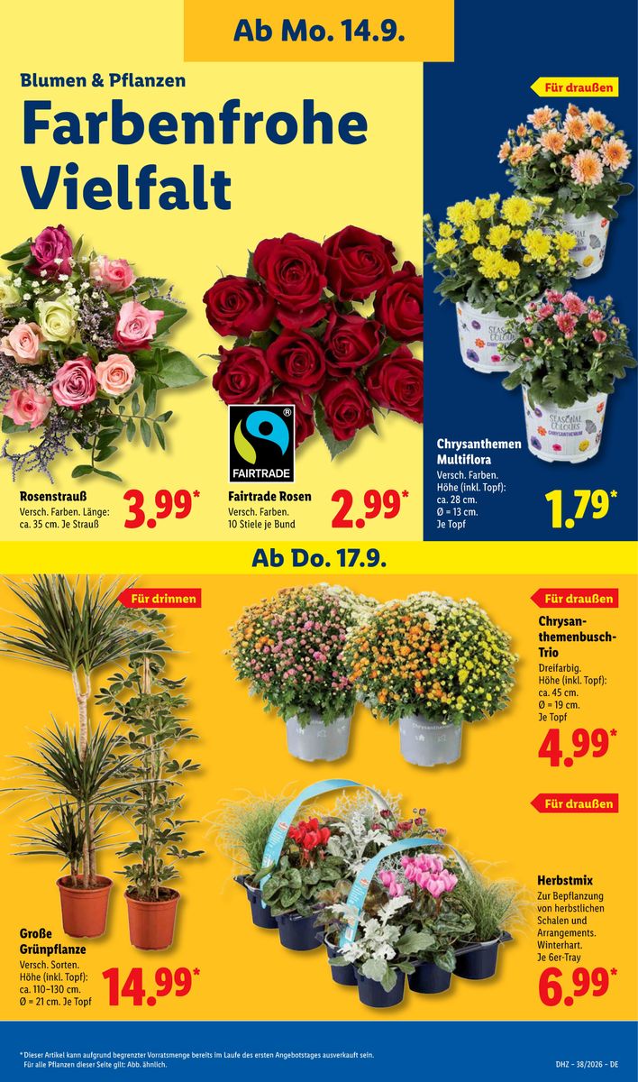 Lidl – Aktionsprospekt · 14.09.2026 – 19.09.2026, Seite 23