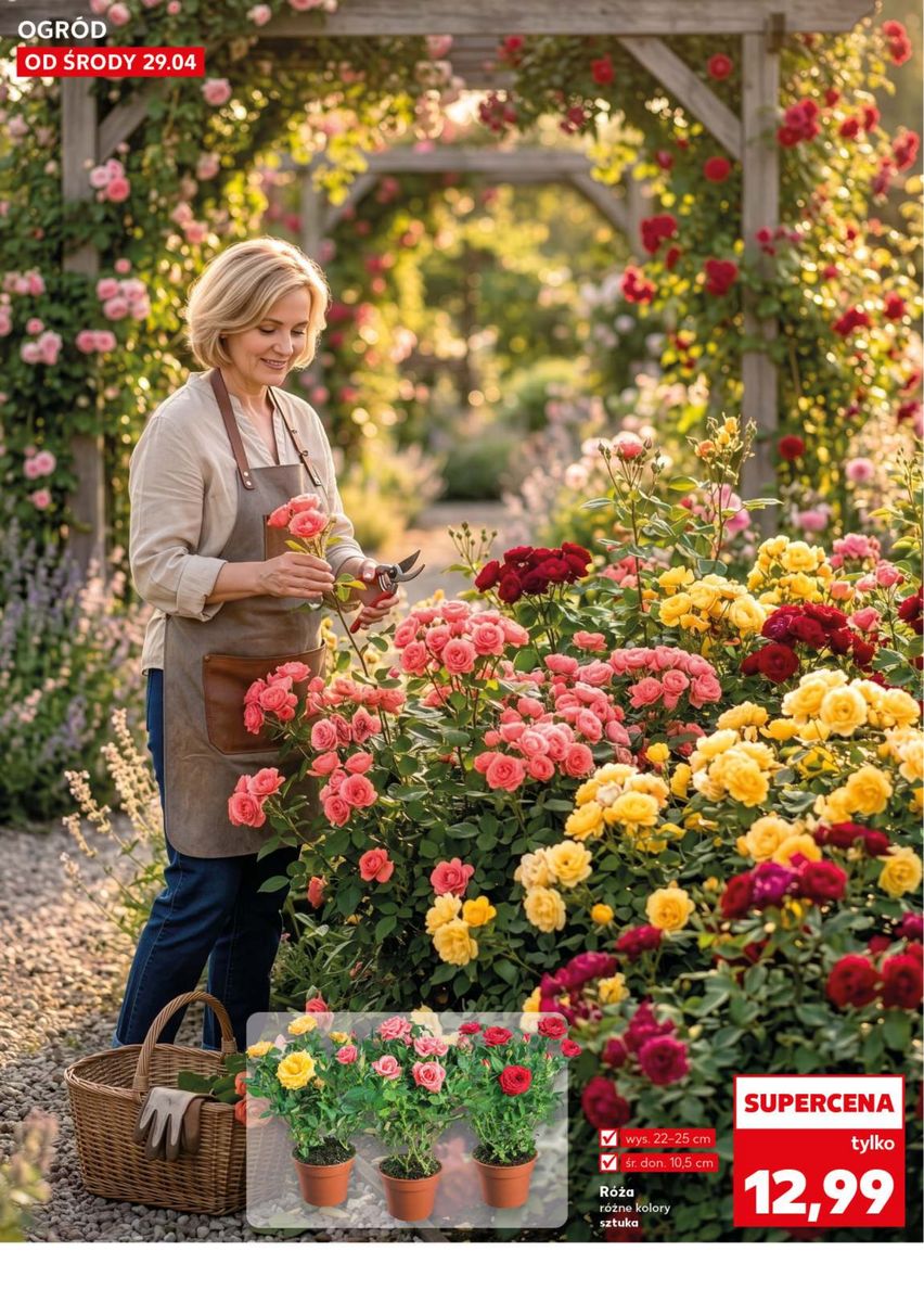 Strona https://imgproxy.leaflets.schwarz/O0jHA1TbX9P4E1hOU47Z_oy1RTxKwRPICZpIXh6zz9I/rs:fit:1200:1200:1/g:no/czM6Ly9sZWFmbGV0cy9pbWFnZXMvMDE5ZGQ0YTItNTlkNy03YWRkLWJhYzAtZGJmZGRjZTU1MWU4L3BhZ2UtMTBfMTg0YjFlZjExNDI4MzlhM2MxYmQ5NTJmZjMyYzA4MDEucG5n.jpg