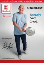 Budoucí akční leták pro spotřební zboží
