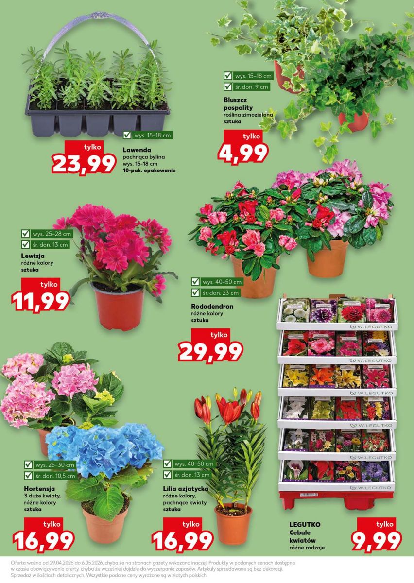 Strona https://imgproxy.leaflets.schwarz/gAfTLRiNlMl_qTynHXizjj4vSTdmI1Ym5LFZqVCocaA/rs:fit:1200:1200:1/g:no/czM6Ly9sZWFmbGV0cy9pbWFnZXMvMDE5ZGQ0YTItNTlkNy03YWRkLWJhYzAtZGJmZGRjZTU1MWU4L3BhZ2UtMTFfNzE2NmJiY2JjZGIxYmZiY2VlMzMxMThmNzE0Yzk3MGIucG5n.jpg
