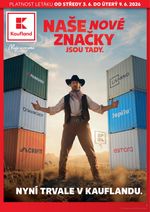 Budoucí akční leták pro spotřební zboží