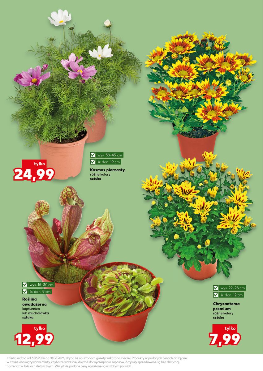 Strona https://imgproxy.leaflets.schwarz/tTneKelfpDOElwiZOdv3gJr9YNv31AmAQ4dym5nf8qs/rs:fit:1200:1200:1/g:no/czM6Ly9sZWFmbGV0cy9pbWFnZXMvMDE5ZTg4MDctMDZkYS03OWRmLWE5OWUtYmU4ZGJkMWUzZTdiL3BhZ2UtMTFfNGZmYTczM2JhYTEzMmZlMmRlMWY5OGRhYjdlMzRiODgucG5n.jpg